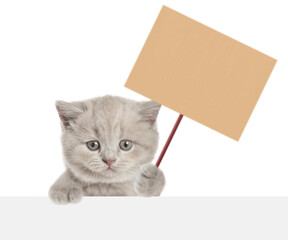 Cute tiny kitten holds blank cardboard on wooden stick and looks above blank white banner. isolated on white background