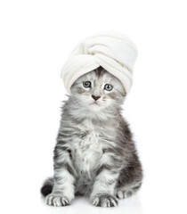 Cute maine coon kitten with towel on it head stands in front view and looks at camera. isolated on white background