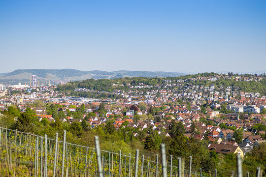 Aussicht auf den Stuttgarter Stadtteil Feuerbach und Zuffenhausen vom Feuerbacher H&ouml;henweg mit Weinreben im Vordergrund.
