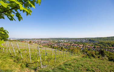 Aussicht auf den Stuttgarter Stadtteil Feuerbach und Zuffenhausen vom Feuerbacher Höhenweg mit...