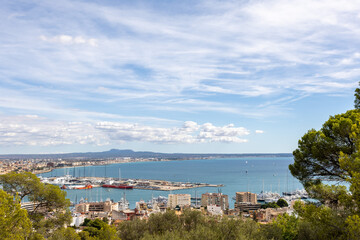 Obraz premium Scenic view of Palma de Mallorca’s harbor at midday, framed by lush trees. Clear blue sky, boats, and cityscape create a vibrant Mediterranean atmosphere in this coastal Spanish paradise.