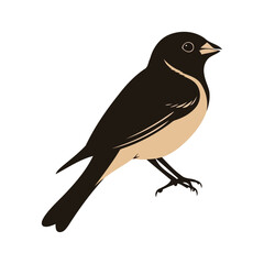 Small Bird Sitting With Wings Down