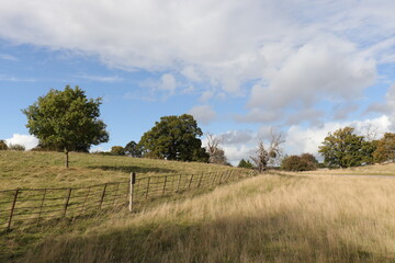 Summertime landscape along Hergest Ridge