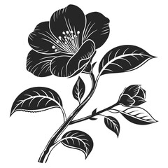 Beautiful black and white floral design featuring a blooming flower and bud