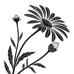 Black and white artistic rendition of a daisy with flower buds shown