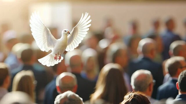A white dove in flight over a sunlit crowd
