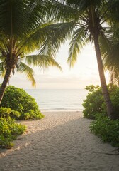 Fototapeta premium Tropical Beach Sunset Path