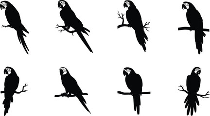 Fototapeta premium Eight black parrot silhouettes perched on branches against a white background in a repeating pattern