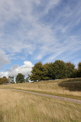 Fototapeta premium Summertime landscape along Hergest Ridge