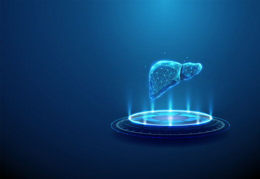 Liver on futuristic podium. Hepatic diagnostics, medical imaging, liver analysis, biotechnology concept.