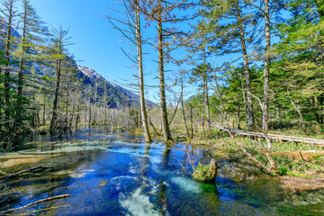 初夏の上高地　岳沢湿原　長野県松本市　Kamikochi in early summer. Dakezawa Marsh....