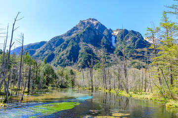 初夏の上高地　岳沢湿原　長野県松本市　Kamikochi in early summer. Dakezawa Marsh....