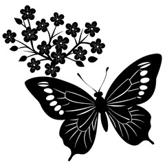 black and white butterfly