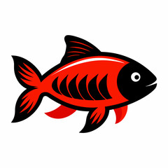 fish on a white background