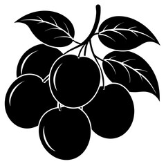 vector illustration of plums
