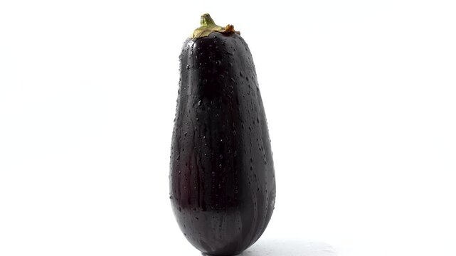 Eggplant rotating vertically. Standing eggplant. Eggplant rotating vertically on white background, covered with water droplets.