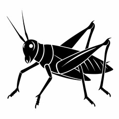 Grasshopper silhouette art