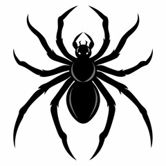 Spider silhouette art