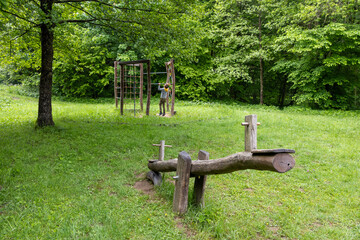 Wooden seesaw in green forest playground