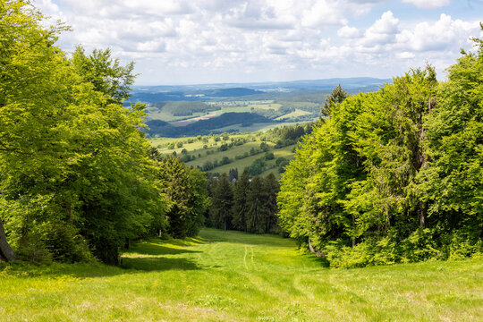 Scenic summer mountain view through a forest clearing with rolling hills in the background