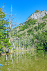 初夏の上高地　明神一之池　長野県松本市　Kamikochi in early summer. Myojin...