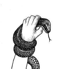 hand holding a big snake