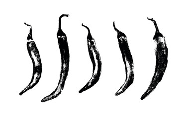 Charcoal style vector doodle of five unique chili peppers. Hand drawn symbols perfect for food labels, cosmetic packaging, kitchen decor, and extended license design projects.