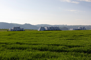 Fototapeta premium Large white bales of wrapped silage stacked in groups across a vivid green field