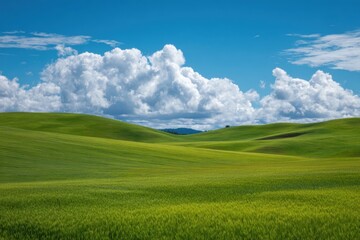 Obraz premium Green hills and blue sky sunny day landscape