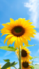 Vibrant Sunflower Against a Clear Blue Sky