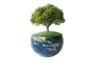 Green tree growing on earth globe isolated on transparent background