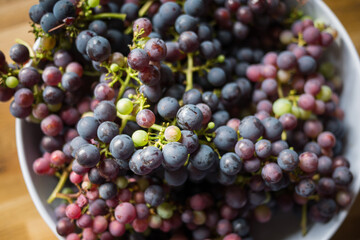 close up of a bunch of grapes