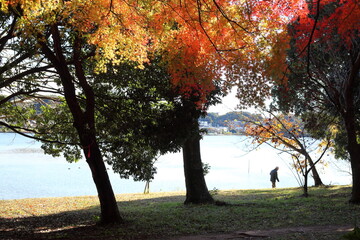 湖と紅葉　