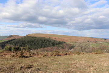 Summertime landscape along Hergest Ridge