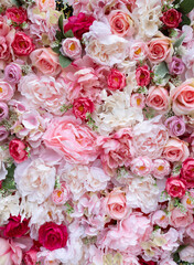 Close up background of pink roses in full bloom. Romantic-dreamy themed design with freshness, beauty, serenity. 