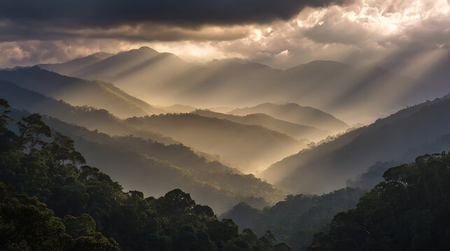 Light Beams Over Rainforest Ridges In New Guinea, Ideal For Environmental And Inspirational Poster Visuals