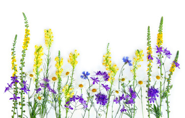 Yellow, blue and violet wildflowers: Cornflower, Consolida ( larkspur ), chamomile, linaria on a white background with space for text. Top view, flat lay