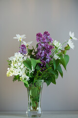 Elegant floral arrangement of lilacs on a gray background