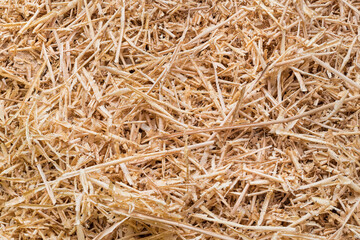 Long thin wooden shavings of woodworking waste in light brown abstract background. Closeup a heap...
