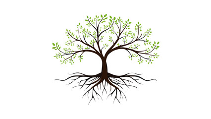 Detailed illustration of a tree with green leaves and roots designed for educational or artistic purposes