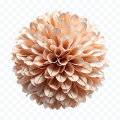 abstract 3d pastel paper pom-pom in different color style isolated on transparent background