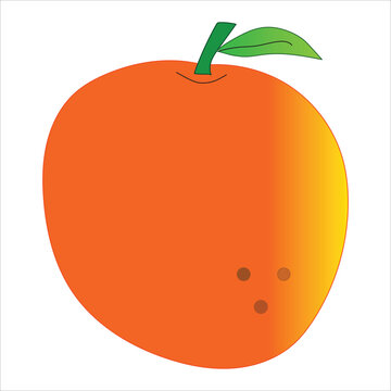 colored orange fruit icon vector illustration