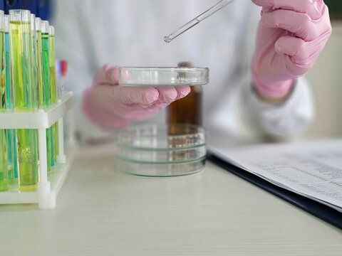 Laboratory technician conducting an experiment with petri dishes and pipette in a scientific research