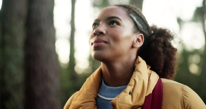 Hiking, explore and woman with walking in forest for travel adventure, sightseeing and wellness. Trekking, scenery and African person with journey for fresh air, hobby and holiday trip in countryside