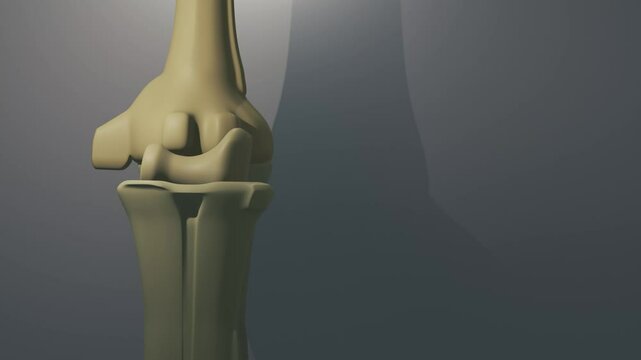 Cinematic Elbow Bone

No AI was used in the making of this clip. Clip rendered in Blender and After Effects.
