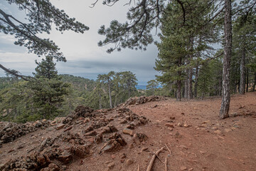 Artemis Nature Trail in the Troodos
Mountains, the scenic, 7 km moderate hiking trail around Mount...