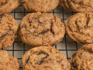 Chocolate chip cookies on white background