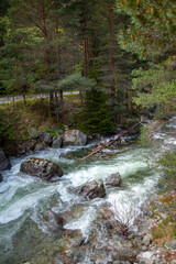 Forest and Iskar river in Rila mountain, Bulgaria