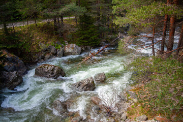 Forest and Iskar river in Rila mountain, Bulgaria