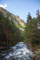 Forest and Iskar river in Rila mountain, Bulgaria